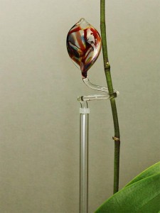 kurzer Orchideenstab mit Verlängerung an einer Orchideenrispe